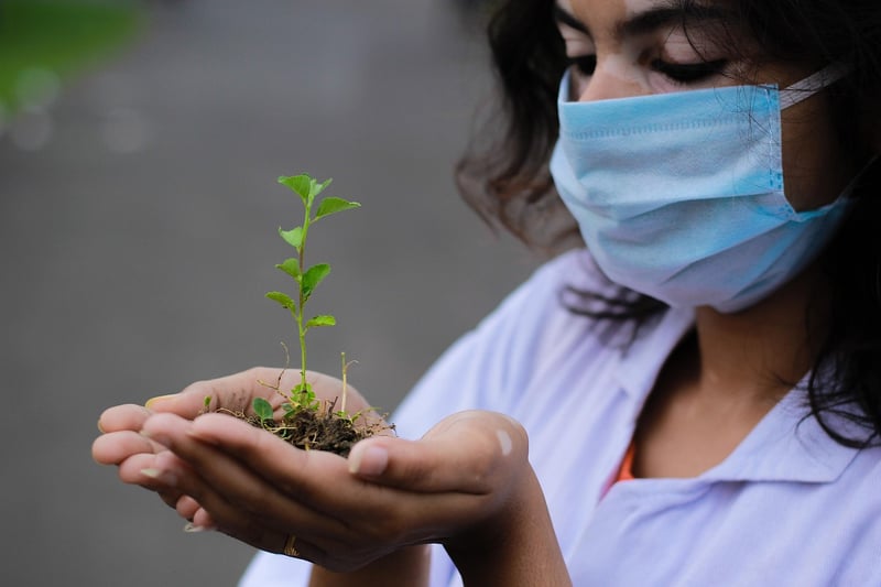 Seedling Care