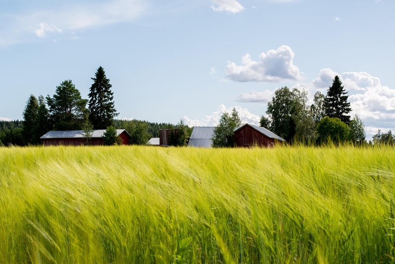 Harvesting Crops