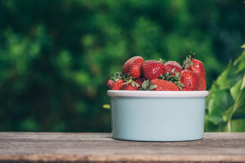 Freshly Harvested Strawberries